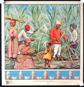 a poster of a family harvesting sugar canes