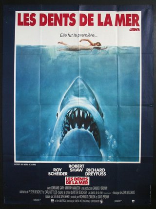a poster of a shark swimming in the water