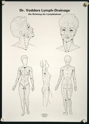 a diagram of a woman's body
