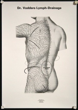 a diagram of a man's body