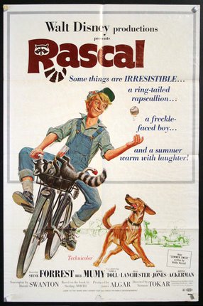 a poster of a boy riding a bicycle with a raccoon and a dog