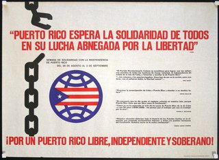 a poster with text and a flag