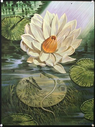 a white flower in water with a clock