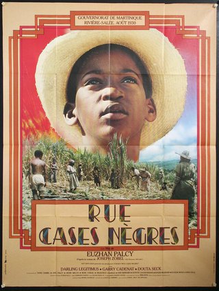 a poster of a boy in a straw hat