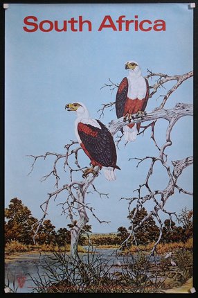 two birds on a tree branch