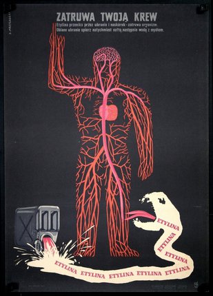 a poster of a man with blood vessels