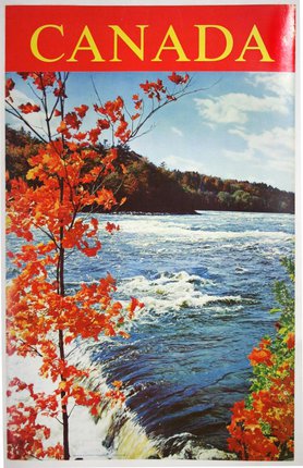 a tree with orange leaves next to a river