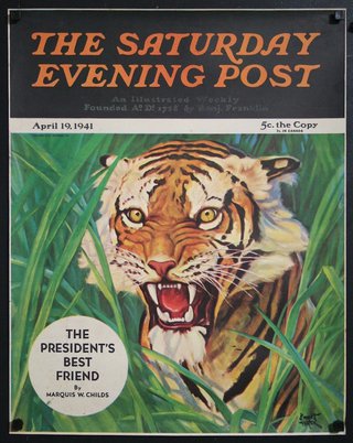 a magazine cover with a tiger
