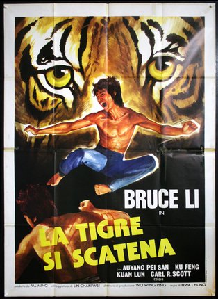 a movie poster of a man fighting with a tiger