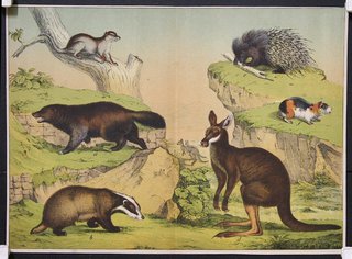 a group of animals on a cliff