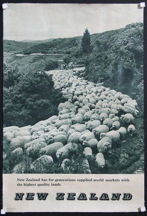 a large herd of sheep on a road