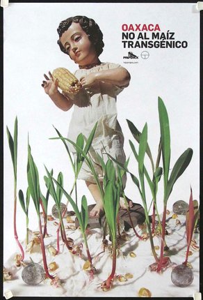 a child holding a corn cob