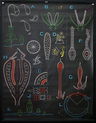 a black board with different types of plants