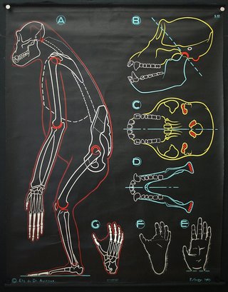 a black poster with a skeleton and bones