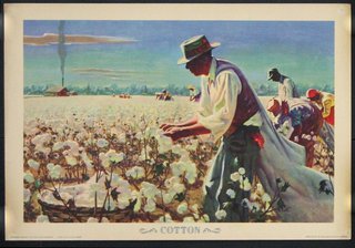 a man in a white hat picking flowers
