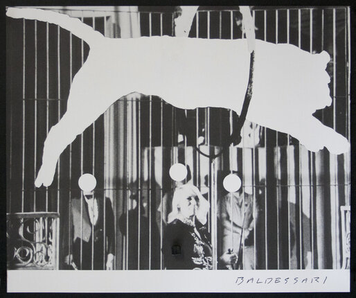 a cat jumping through a cage