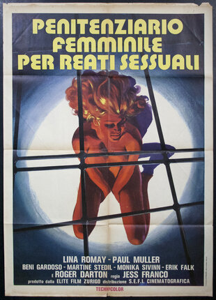 a poster of a woman in a boxing ring