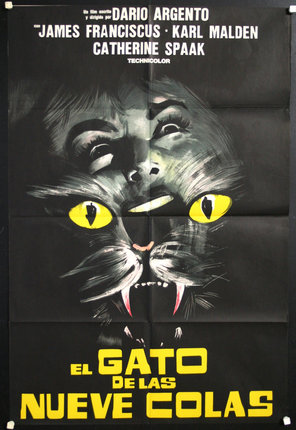 a poster of a cat with yellow eyes