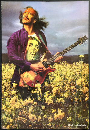 a man playing a guitar in a field of yellow flowers