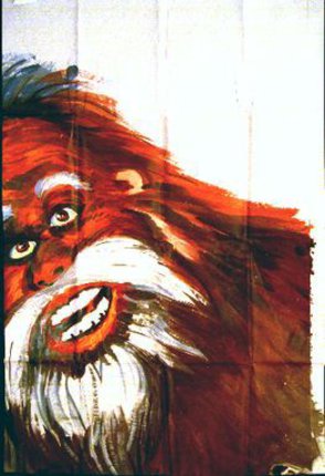 a close-up of a monkey