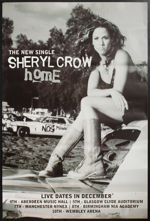 a poster of a woman sitting on a car