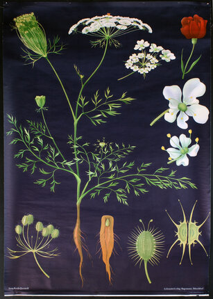 a poster with a plant and flowers