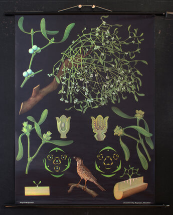 a poster with a plant and a bird