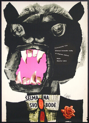 a poster of a cat with a pink mouth
