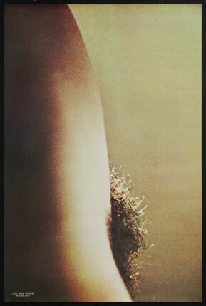 poster of a close-up side view of dark pubic hair