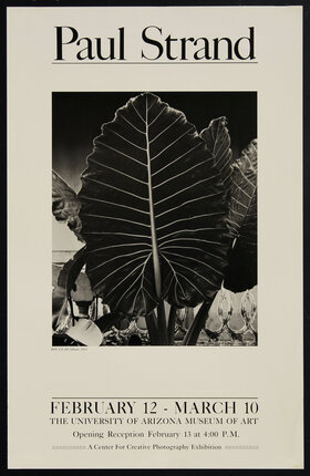 poster with two black and white photograph of a big leaf