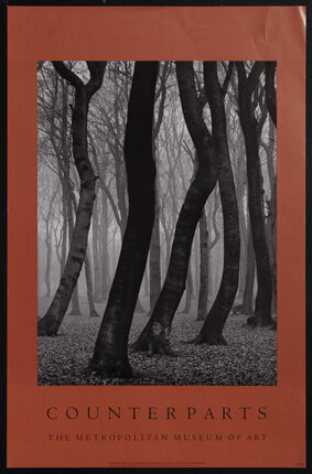 poster with black and white photograph of the elegant silhouettes of tree trunks in a forest.