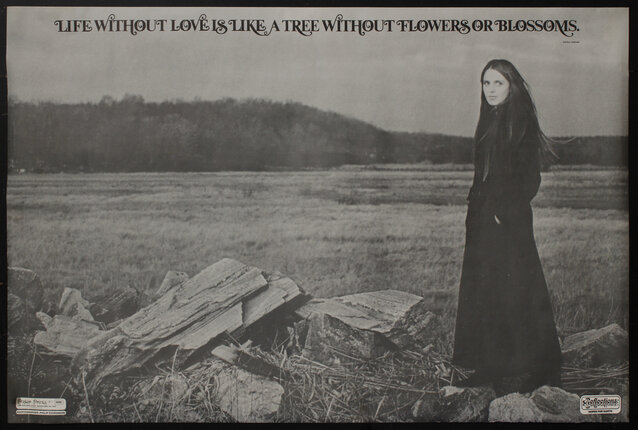 poster with a woman in dressed black standing in a field