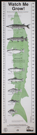 a poster with fish and text