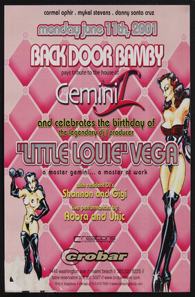 poster with a pink lattice pattern and sexy ladies