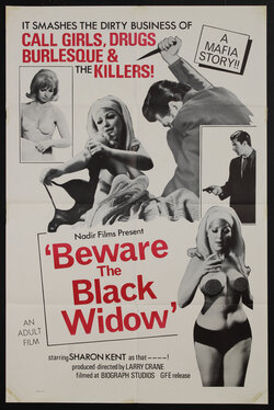 a movie poster with a woman in underwear